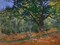 The Bodmer Oak Fontainebleau Forest Poster Print by Claude Monet - Item # VARPDX3CM2176